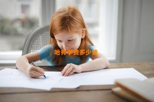 哈弗学费多少钱