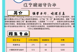 沈阳化工大学哪个专业好