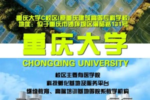 重庆大学的d校区在哪里