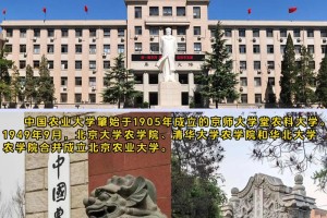 农大是哪个学校