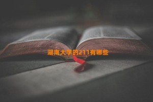 湖南大学的211有哪些