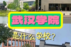 武汉电院是哪个学校