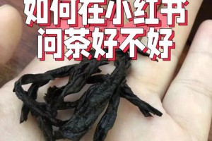 西北农林的茶学怎么样