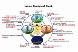 大学科学的运动方法有哪些