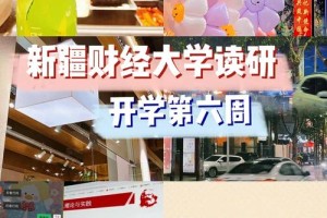 新疆财经大学用英语怎么写