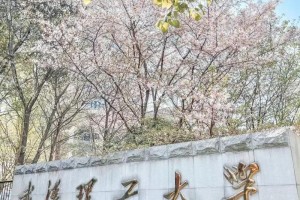 武理工大学在哪里