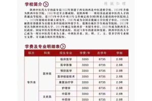 陕西学中医有哪些大学排名