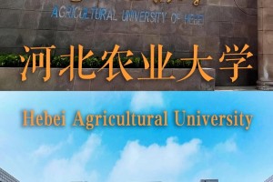 在河北的大学有哪些学校