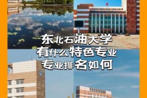 东北石油大学哪个专业好