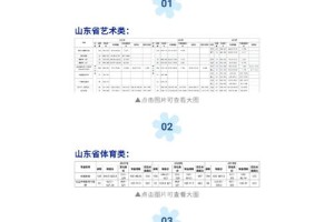 山师艺术分多少