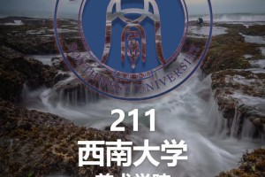 西南大学美术类怎么样