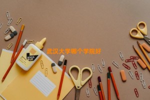 武汉大学哪个学院好