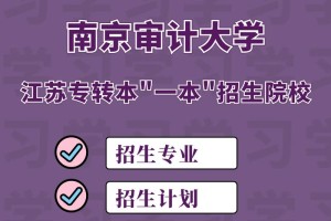 有哪些二本审计学校