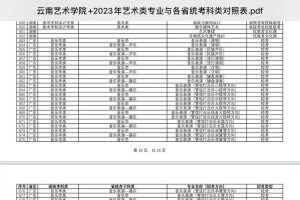 云艺专业哪个最好