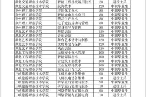 孝感学院有哪些专科专业