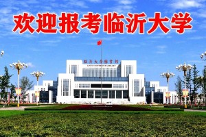 临沂公办大学学校有哪些