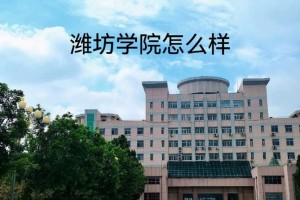 潍坊学院自动化怎么样