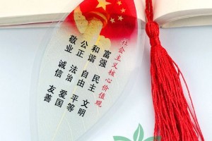 两学一做怎么融入大学