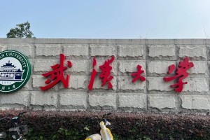 武汉大学多少级