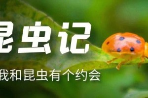 哪个学校有昆虫学