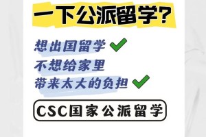 2017公派留学多少人