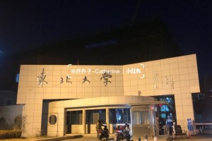 东北大学英语怎么说