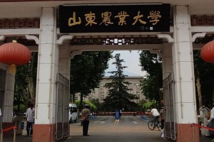 山东适合考研的大学有哪些