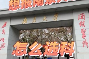 怎么登录南京大学网站