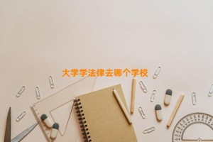 大学学法律去哪个学校