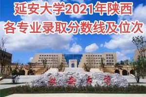 延安大学哪个网好