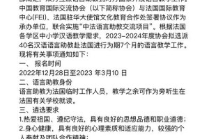 赴法国汉语语言助教怎么样