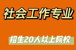 哪些大学开有社会工作专业