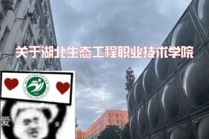 与生态有关的职业有哪些