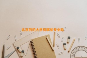 北京的的大学有哪些专业吗