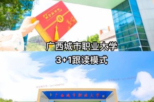 广西城市大学分校在哪里