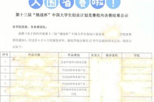 大学生挑战杯省级怎么评比