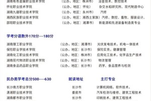 湖南哪个大学学电子的