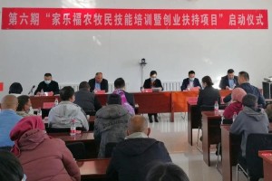 大学生怎么助力小康社会