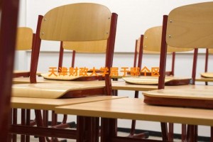 天津财政大学属于哪个区