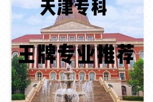 天津信息职业学院哪个