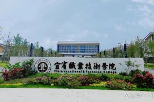 宜宾有哪些公办专科学校