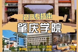 肇庆有哪些公办大学分校