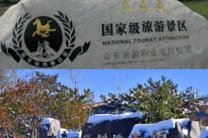 山东旅游职业学院在哪里啊