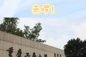 重庆大学校址在哪里