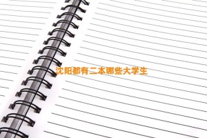 沈阳都有二本哪些大学生