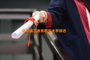 哈尔滨三表有哪些大学排名