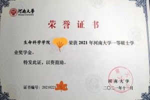 河南省奖学金都有哪些