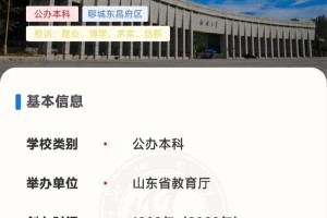 现在聊城哪个学校是公立的