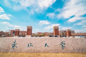 东北大学研究院在哪里