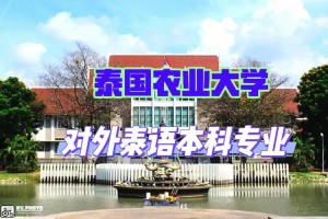 哪个大学有泰语专业